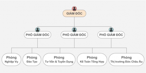 CƠ CẤU TỔ CHỨC